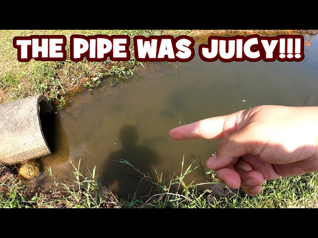MICRO FISHING the JUICIEST PIPE in the RESERVOIR...!!! | BR24-EP2 class=