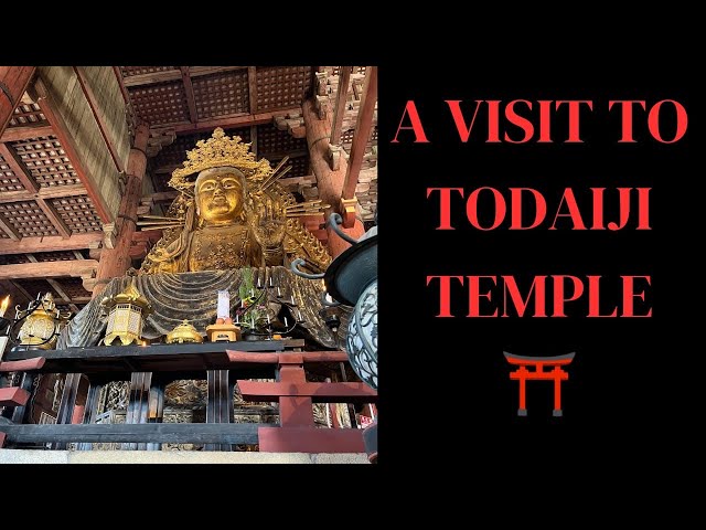 A visit to Nara, Japan at the start of New Year 2024 #travel #japan #india #amazing class=