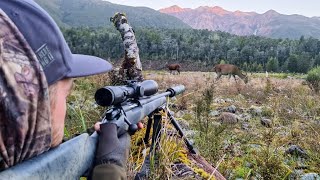 Ambush Hunting a Mountain Valley (with Electric Bikes)