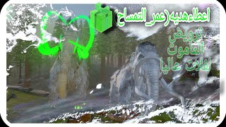 ارك موسم القتال اعطاء هديه عمر /ترويض الماموث الفيل لفلات عاليا/ #6