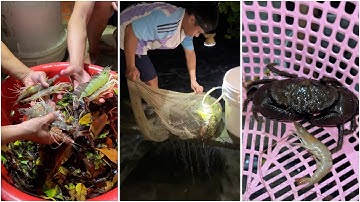 xem cách mà người dân Cà Mau xổ vuông thu hoạch tôm, cua, cá quá đã / Bảo pet