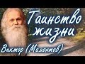 Это должен знать каждый! Тайны Жизни. Встреча с Богом. Виктор (Мамонтов)