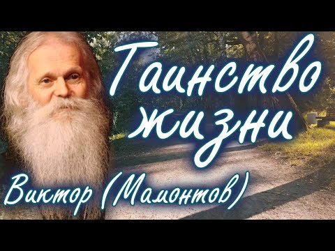 Это должен знать каждый! Тайны Жизни. Встреча с Богом. Виктор (Мамонтов)