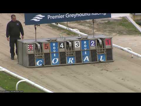 Hove Greyhound Trials 10/4/24