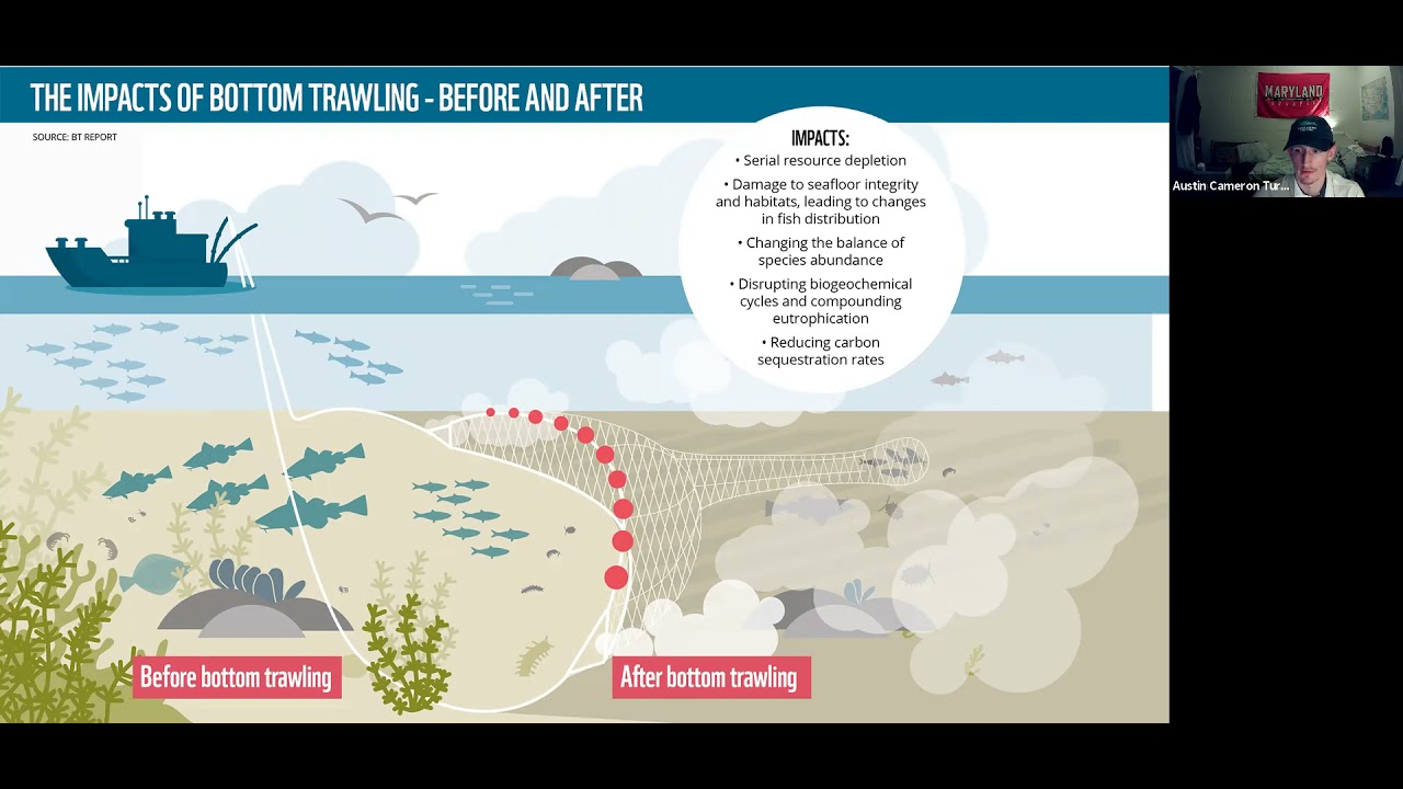 Impacts on Fisheries "Impacts of Climate Change" Student Presentation ...
