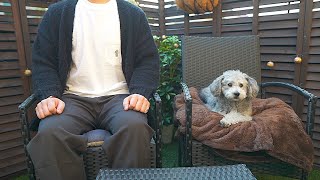 🐶【嬉しい】視聴者の皆様にお知らせです。