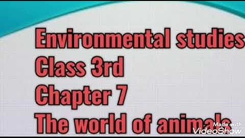 Environmental studies I class 3rd I chapter 7 .4 I The world of animals  I Question / Answer I