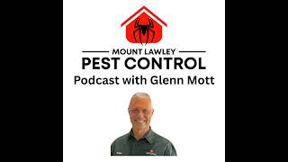 Spider Control: When to Call a Professional