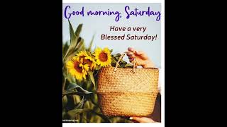 GoodMorningSaturday #BlessedSaturday #SaturdayBlessings #Sunflowers #StrawBag #SunflowerVibes 🌻💛💙✨😊