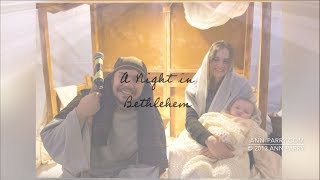 A Night in Bethlehem, Live Nativity, Carol of the Bells © Ann Parry