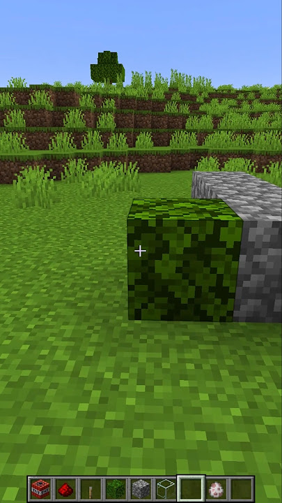 Minecraft Believer😱 #shorts