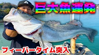 有明海の巨大魚が次々と釣れまくる！！