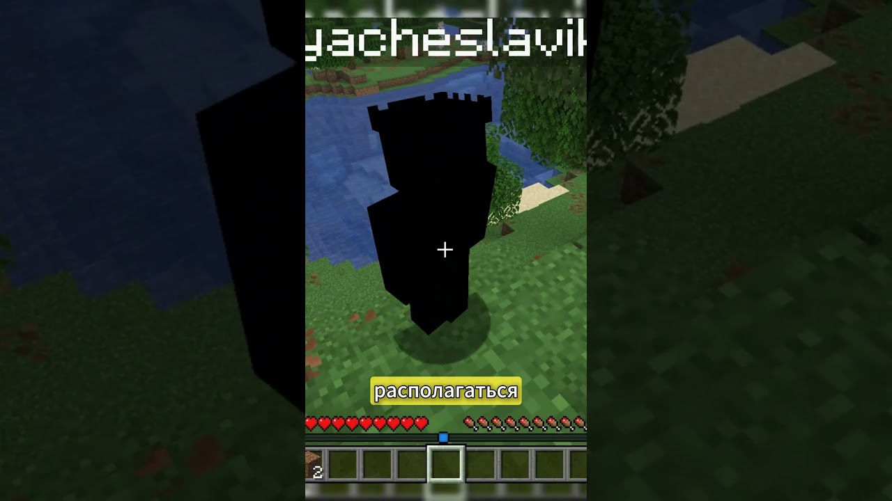 Какой то странный Биом в начале