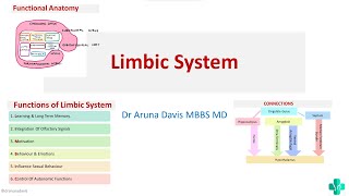 Physiology of Limbic System- Functional Anatomy |Connections|Functions| MBBS | First Year