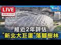經近2年評估 "新北大巨蛋"落腳樹林機五｜LIVE