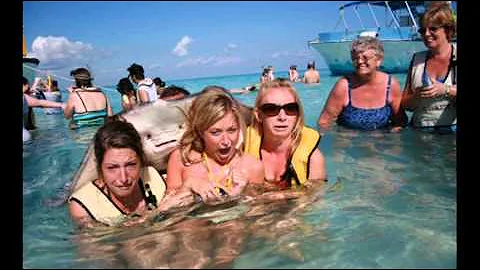 3 Women 1 Stingray