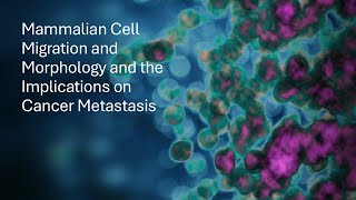 Mammalian Cell Migration and Morphology and the Implications on Cancer Metastasis