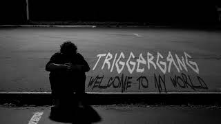 TRIGGERGANG - FAILED (Official Audio) | Emotional Trap Confession