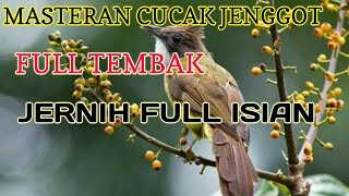 Masteran Cucak Jenggot Gacor, Jernih \u0026 Full Isian  2021