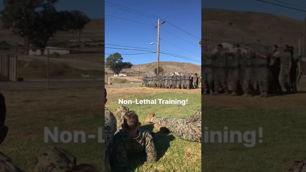 Training - YouTube