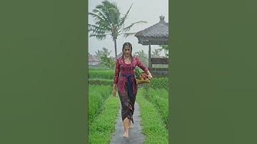 Thumbnail of Grace in the Rain: A Balinese Journey Through the Fields.#rain #unfrezzmyaccount #duet