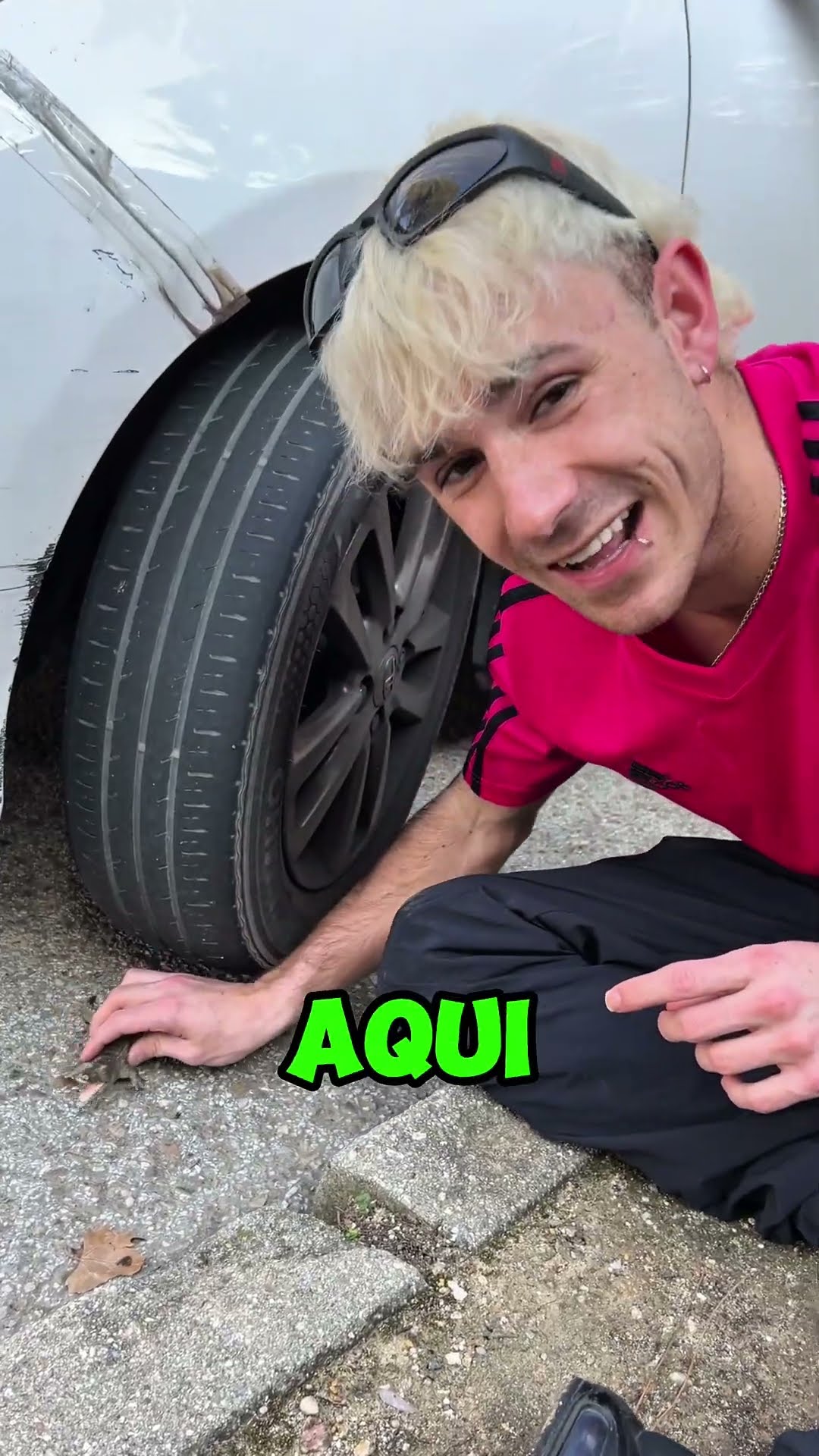 MI AMIGO TIENE UN COCODRILO EN SU PISCINA TOXICA!