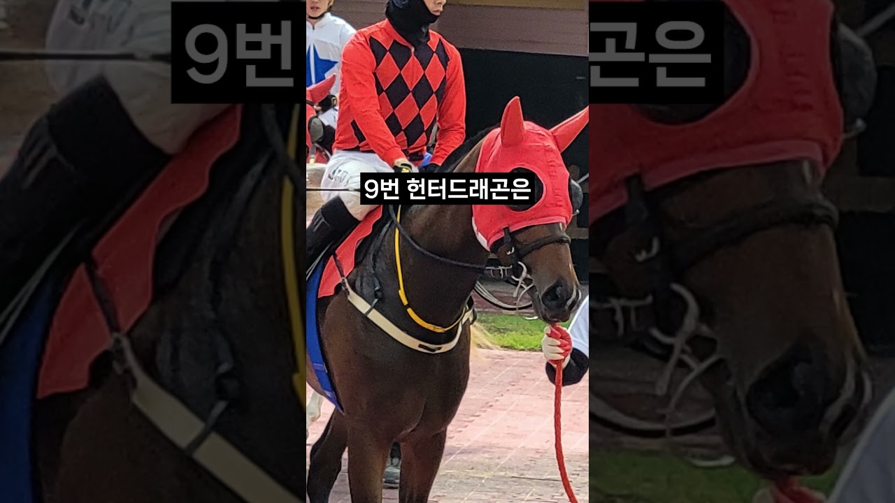 26.01.25 부산경마 07경주