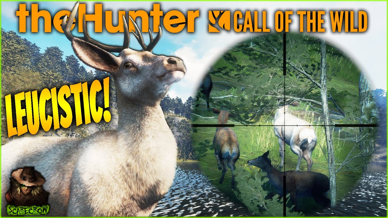 Hunting For EVERY Super Rare Red Deer Leads To A TINY Leucistic! Call of the wild
