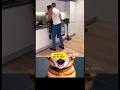 The Simba Video 05 ЁЯШВ Catmemes Shortsfeed The Simba Video 05 ЁЯШВ Catmemes Shortsfeed