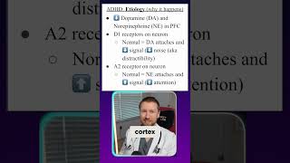 Understanding the Etiology of ADHD: The Role of Dopamine and Norepinephrine