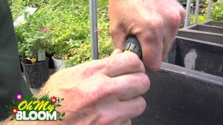 How to attach Gardena connector to your garden hose. - Oh My Bloom