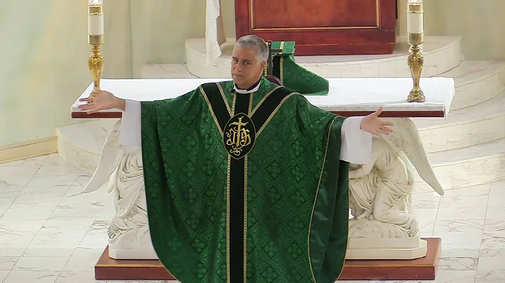 Father Mark Beard's Homily - "Yoke" - 14th Sunday in Ordinary Time, Year A 2023