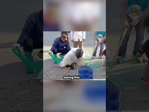 Trapped in Dark Pipe 3 Weeks — The Moment She Heard His Voice 🐱❤️