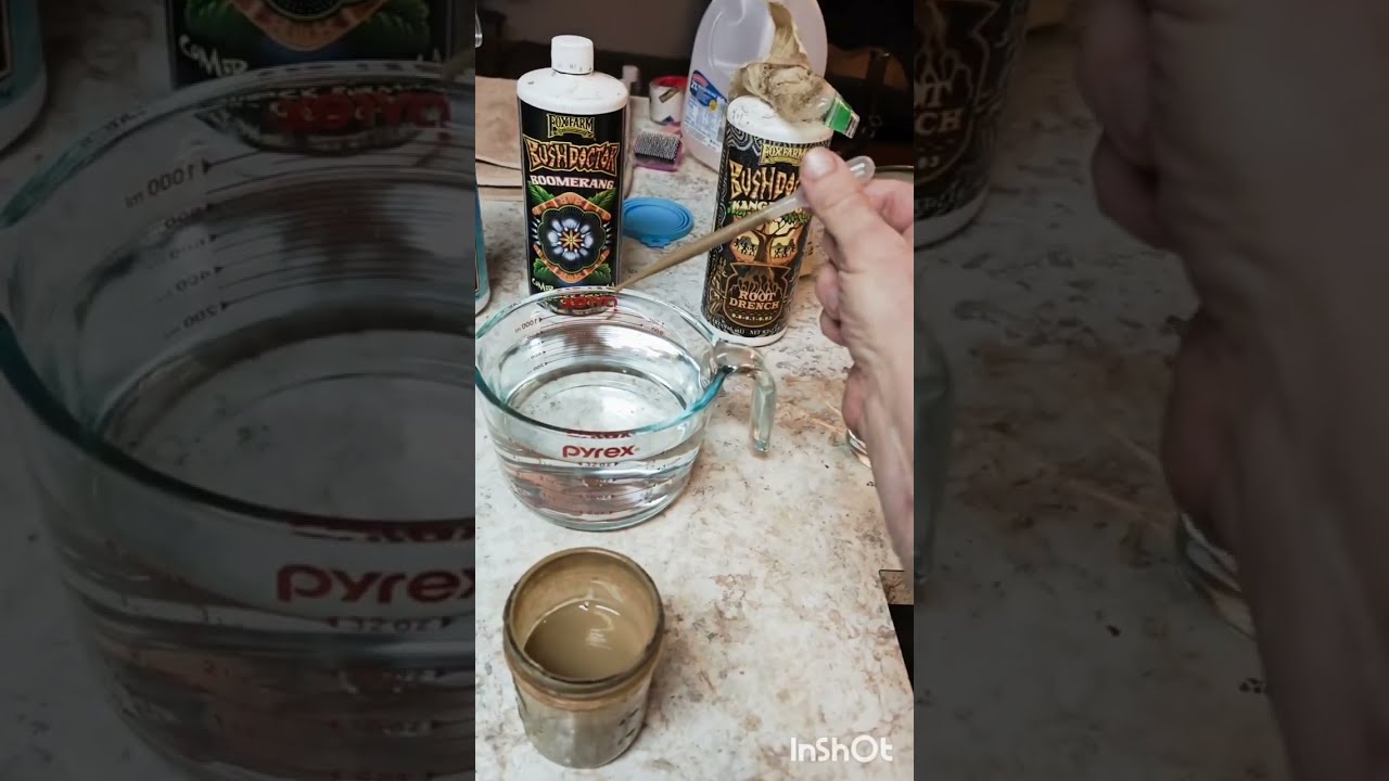 Transition from seedling to veg. Grow Closet Chronicles. Part 1