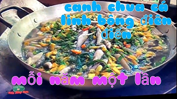 Mỗi Năm Một Lần Với MÓN - CANH CHUA CÁ LINH BÔNG ĐIÊN ĐIỂN - trai quê