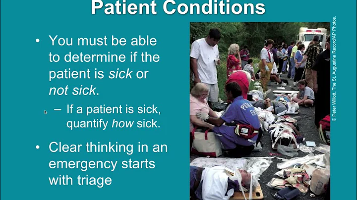 Chapter 12: Critical Thinking & Clinical Decision Making