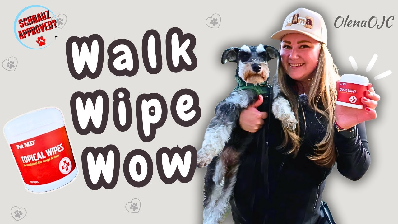 Pet MD Wipes: Why I Keep These in My Car for Every Walk
