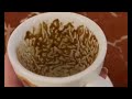 Virgo This Will Change Your Life You’re Not Ready Coffee Cup Reading