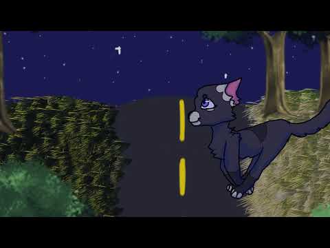 Run wild - Part 9 (warrior cats)