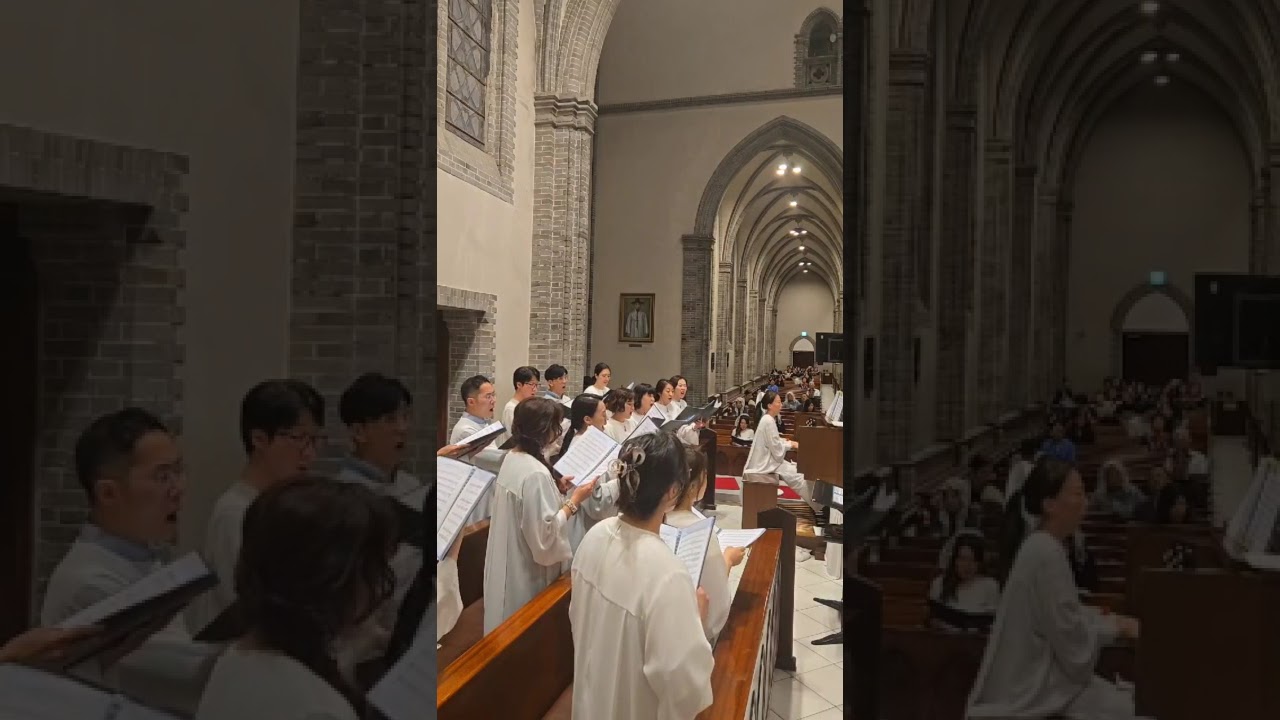 [명동대성당 3545+ 카이로스 성가대] 하느님 당신은 나의 모든 것