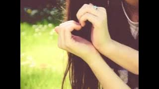 Bavarija - Oro bučiniai