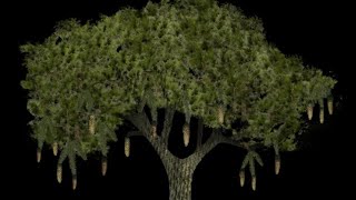 Analog Horror - Have You Seen This Tree ? [Minecraft Lepidodendron Tree🚨] 🌴