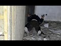 الجن يهاجم و يتلبس المغامر شاهد ماذا حدث معجزة صاحب العاج