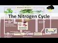 Nitrogen Cycle Concepts and Processes