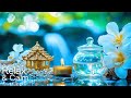 Insomnia Relief Deep Sleep Music 😴 Calm Relaxation Sounds to Reduce Stress and Sleep Fast Tonight
