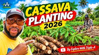 TRIPLE-A CASSAVA PLANTING - 2026 SEASON - 🇸🇱 Episode 18 - Farming In Sierra Leone