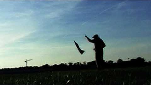 At the fingertip - How to Launch a R/C Plane