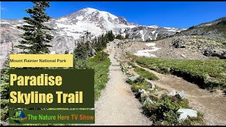 Paradise Skyline Trail. Best hikes in Mount Rainier National Park.