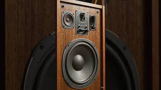 Vintage audio system