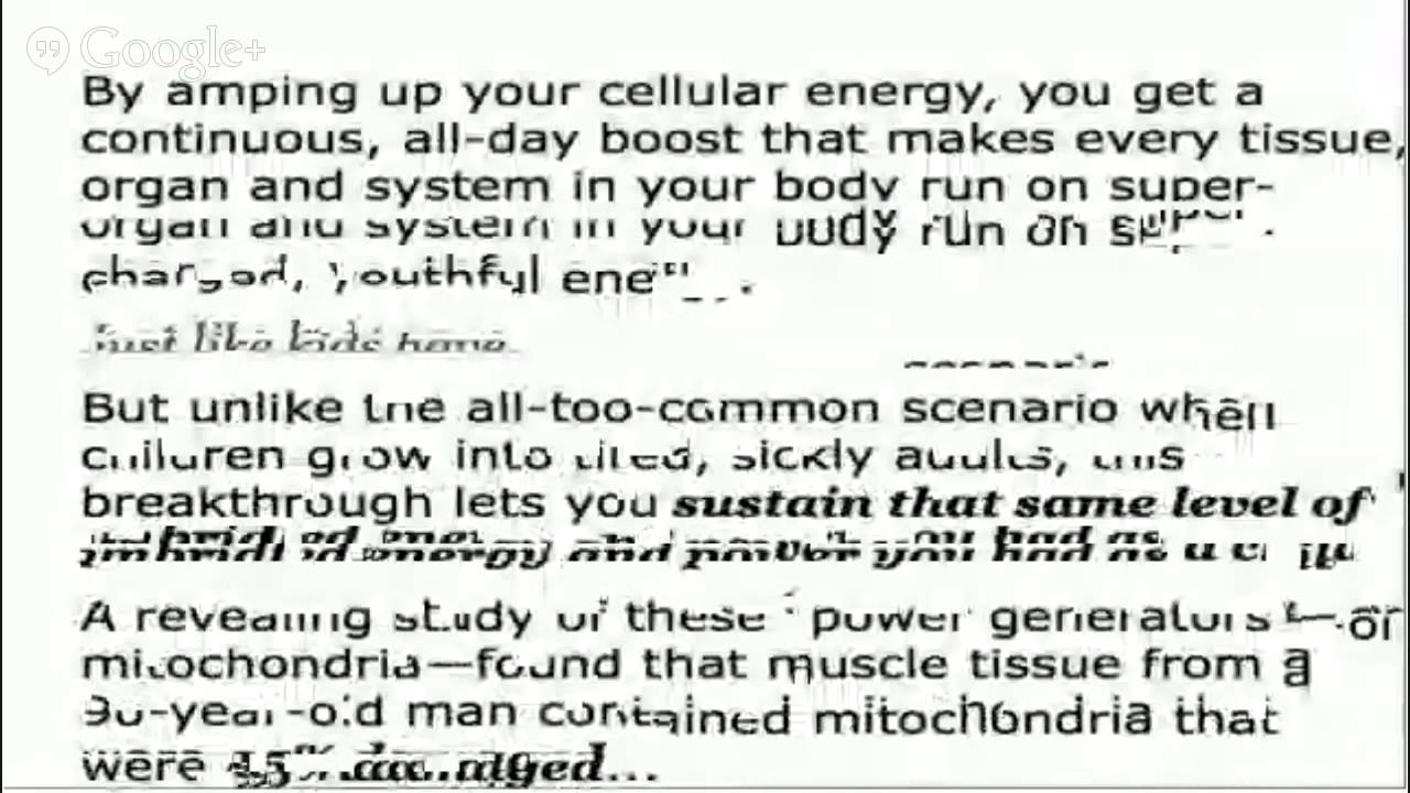 Dr Sears Primal Force Accel Coq10 The Best Anti Aging Supplements Dr Sears Primal Force Accel Coq10